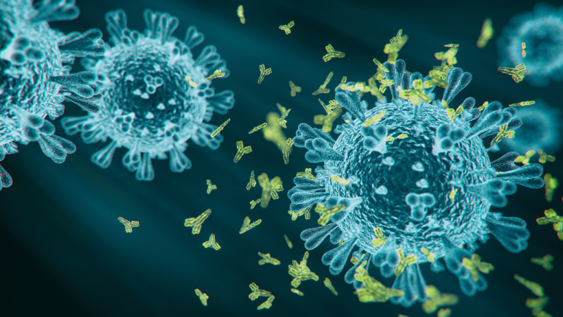 Image macroscopique d'anticorps bleus et verts.